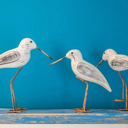 Torri Daire Portimão